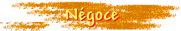 Ngoce